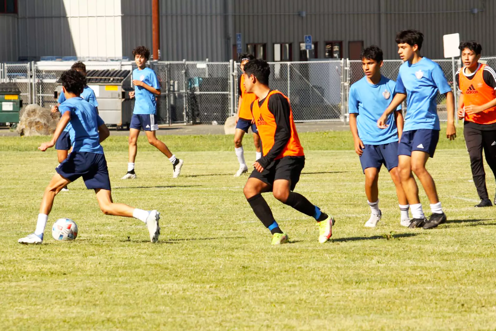 MLS Showcase 1